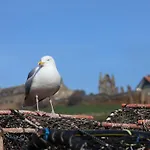 Bishop's Whitby