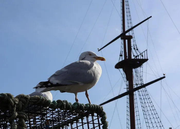 Holiday home Bishop's *